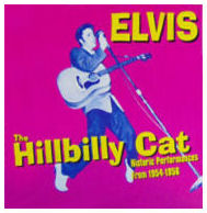 Hilbilly Cat