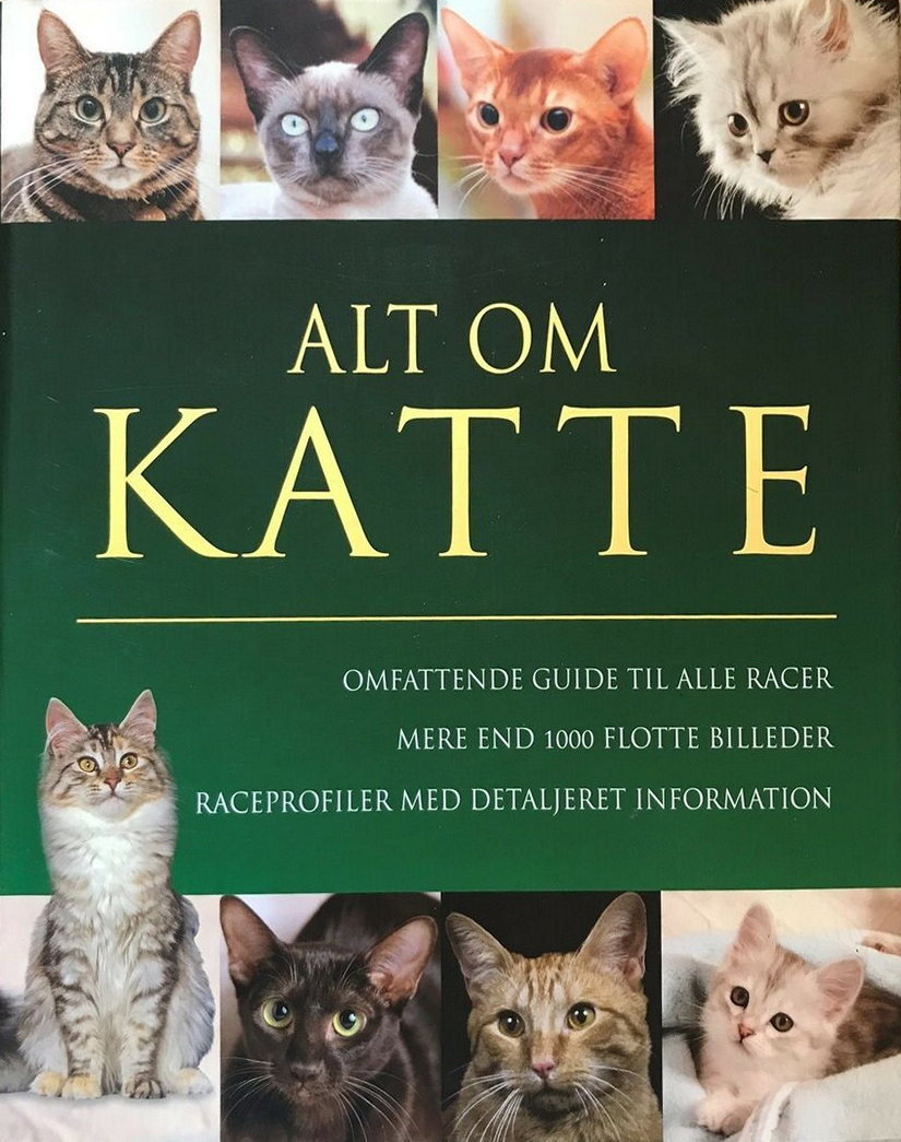 Alt Om KATTE